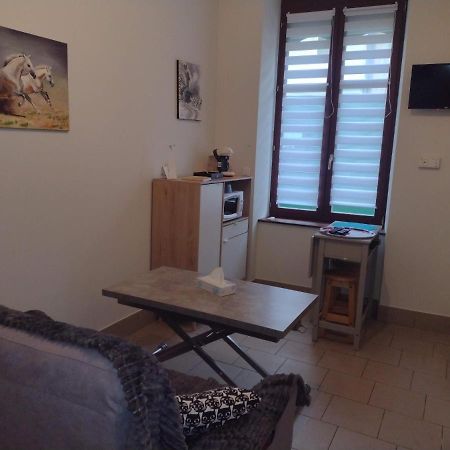 Appartement Rdc Chez Caroline Bourbonne-les-Bains Eksteriør bilde