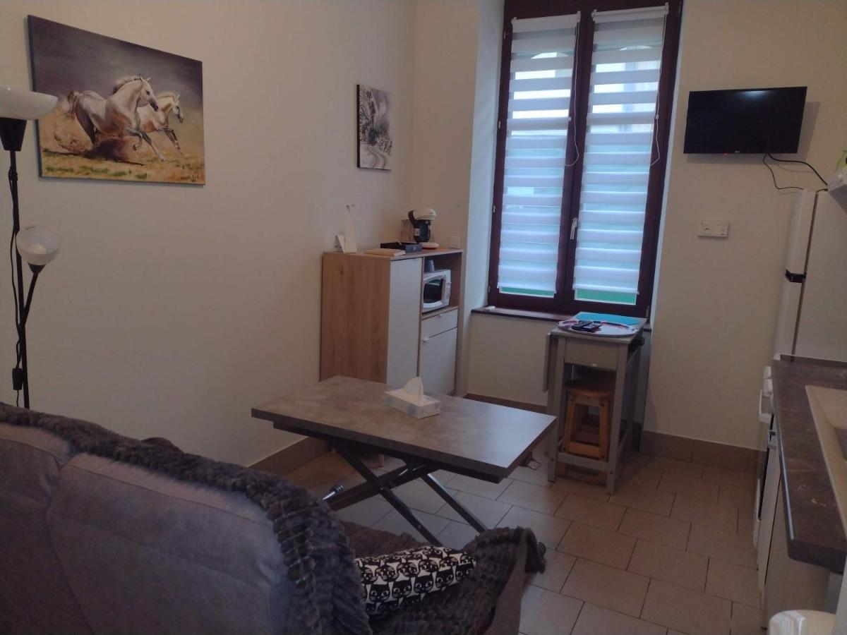 Appartement Rdc Chez Caroline Bourbonne-les-Bains Eksteriør bilde